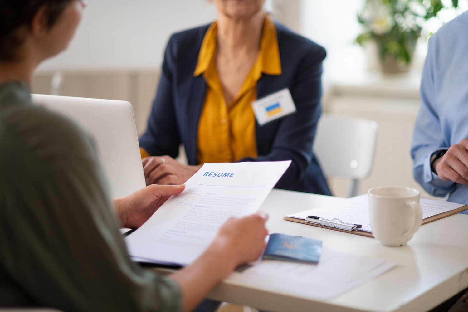 Bridging visa applications